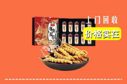 河池环江县回收冬虫夏草